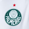 Camisa Palmeiras II 2023 Masculina